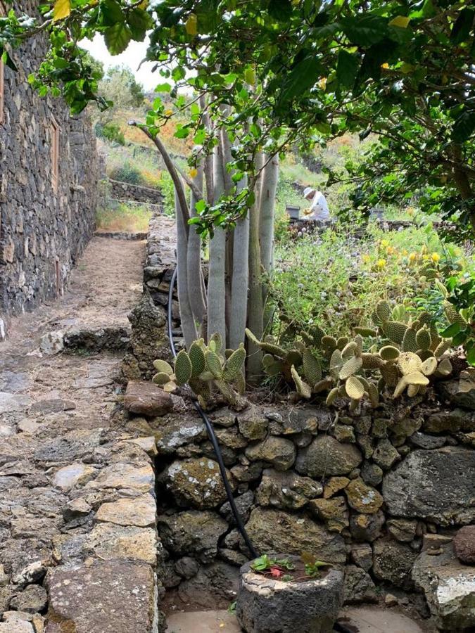 Casita Pedro Gonzalez Daire Erese Dış mekan fotoğraf